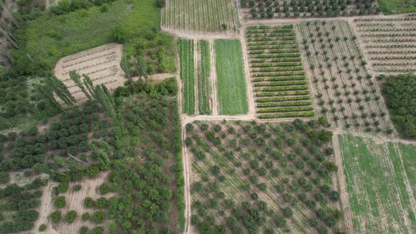 Aerial Shot Farmland