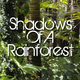 Shadows Of A Rainforest