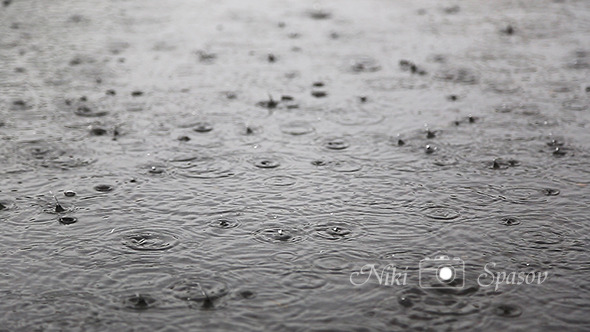 Rain on the Street alt