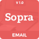 Preview icon