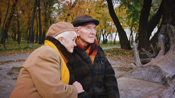 Happy Grandparents Hugging and Smiling While Sitting on Bench Carved From Tree Trunk in Autumn Park