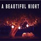 A Beautiful Night - AudioJungle Item for Sale