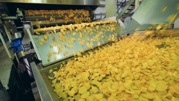 Yellow Chips Cooked at a Factory, Moving on a Food Production Conveyor