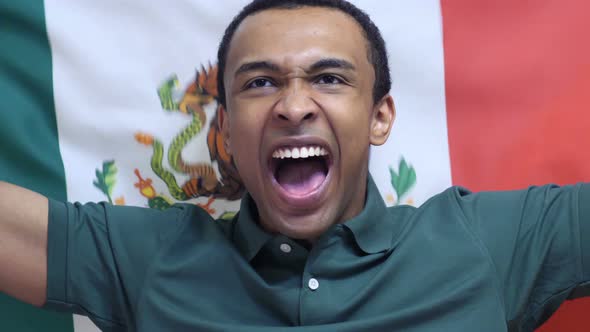 Mexican Fan Celebrates Holding the Flag of Mexico