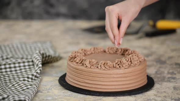 Close-up of sprinkle nuts on a cream of a chocolate sponge cake