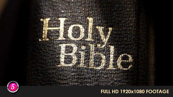 Old Holy Bible 230