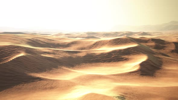 Light of the Sunset in the Beautiful Desert in Abu Dhabi alt