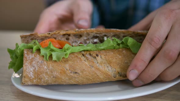 Men's Hands Take a Plate of Delicious Fresh Sandwich with Fish and Green Lettuce