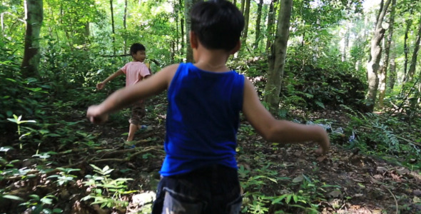 Steadicam Shot Children Walking In Forest