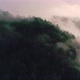 Light fog forest - VideoHive Item for Sale