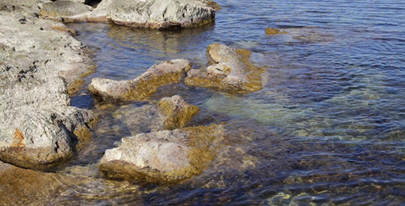 Sea Coast With Stones 13