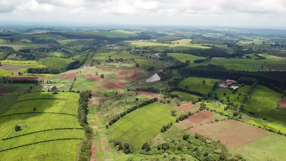 Limuru tea plantation in Kenya, Africa. Aerial wide panorama reveal landscape famous for tea product