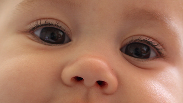 Eyes and Little Nose of Baby