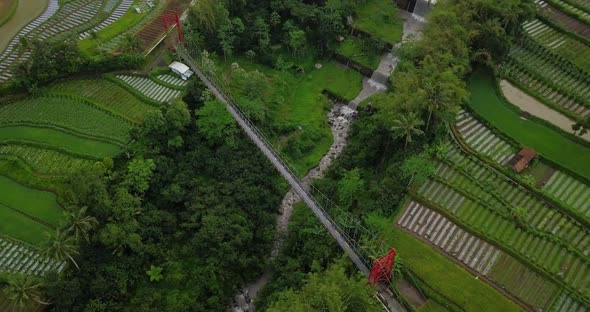 Mangunsuko bridge over river in scenic, tropical valley, rural farmland with fields in Indonesia - a