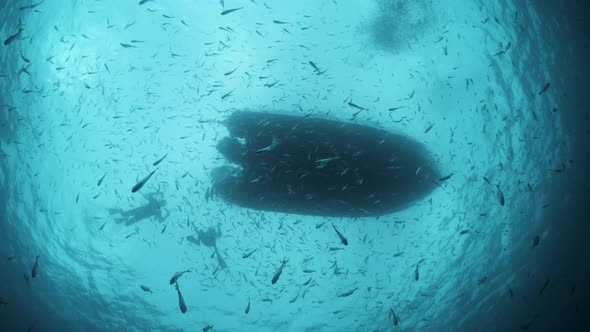 Unique underwater photography perspective Snell's window of a large boat with snorkelers swimming an