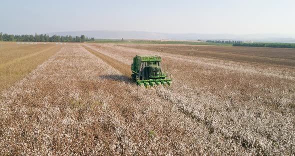Aerial view of combine picking cotton, Kibbutz Saar, Mate Asher, Israel.