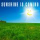 Sunshine Is Coming