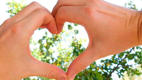 Hands Join Together To Make A Heart Shape