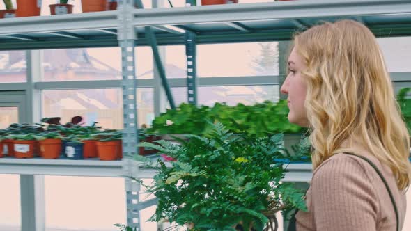 A Florist in a Botanical Garden Walks Past a Rack of Flowers Holding a Fernlike Flower