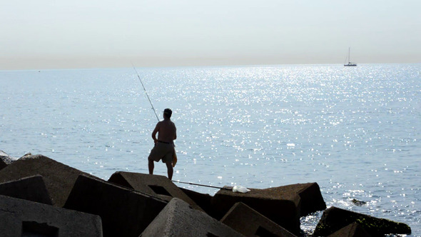 Fisherman Throws Bait into the Sea