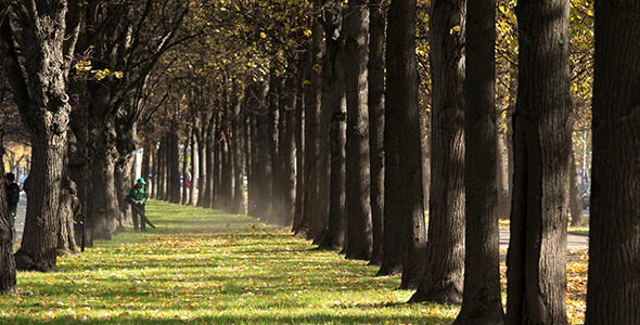 Autumn Alley