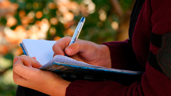 Boy Sitting On Bench Near Trees And Writing 3