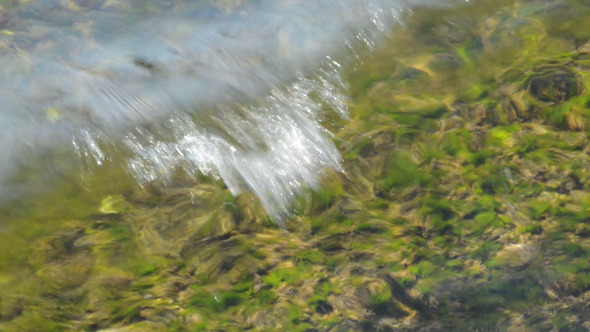 Clear Water Big Wave alt