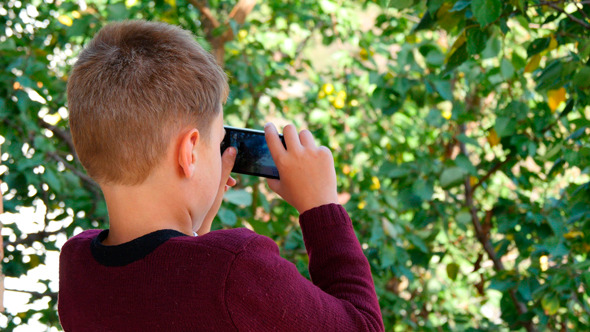 Boy Taking Picture Of Nature
