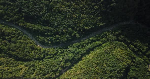 Aerial Top View of Caucasian Mountain Forest, Texture of Forest View From Above.