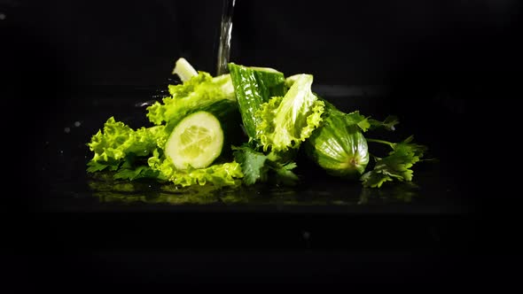 Watering Fresh Cucumbers and Green Lettuce Leaves