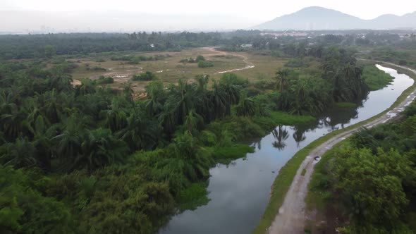 Fly over oil palm land beside river 