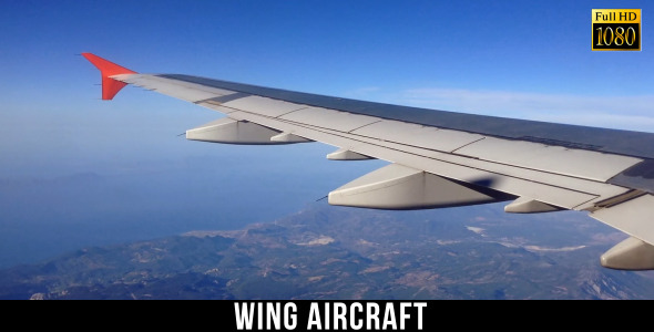 Wing Aircraft 5