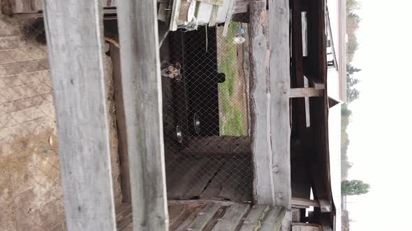 Aerial View of a Shelter for Stray Dogs