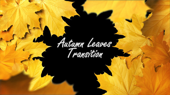 Autumn Leaves Transition alt