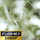 Snow Falling Rapidly | Full HD - VideoHive Item for Sale