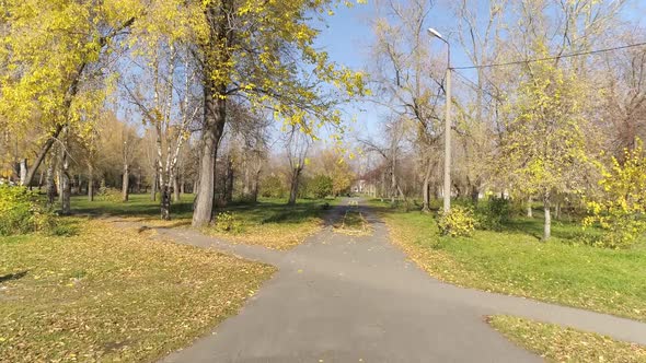 Drone view of Autumn empty park with trees in a provincial town. 61