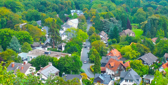 Little Town in Forest