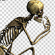 Skeleton Funny Street Dance Routine 1 - VideoHive Item for Sale