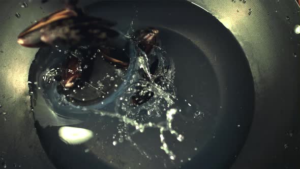 Super Slow Motion in a Pan with Water Falling Mussels with Splashes