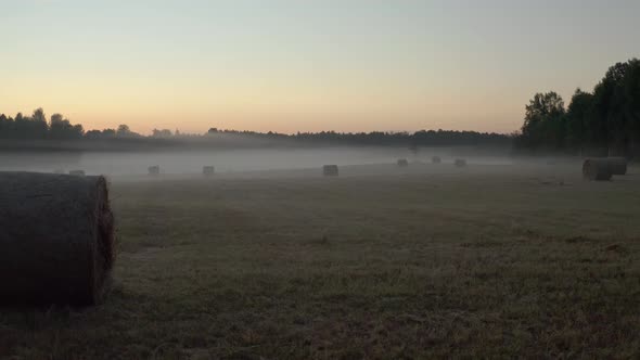 Hay Roll Field