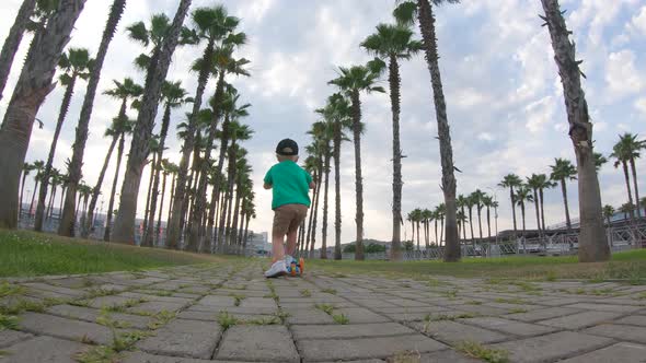 Small Boy Learn To Ride Scooter in a Tropical Park on Sunny Summer Day. Kid Play Outdoors with