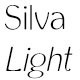 Silva Light - GraphicRiver Item for Sale