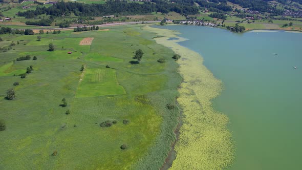 Aerial view of the lake and lotus flowers in the lake