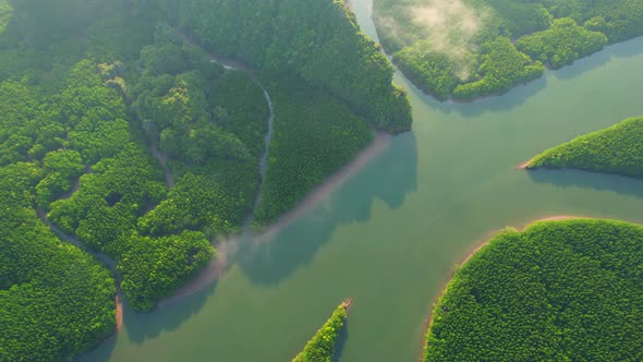 An aerial view over the river bends and mangrove forests