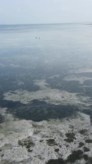 Tanzania  Vertical Video of Low Tide in the Ocean Near the Coast of Zanzibar Slow Motion