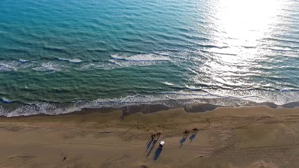 Sea And Horse Riding