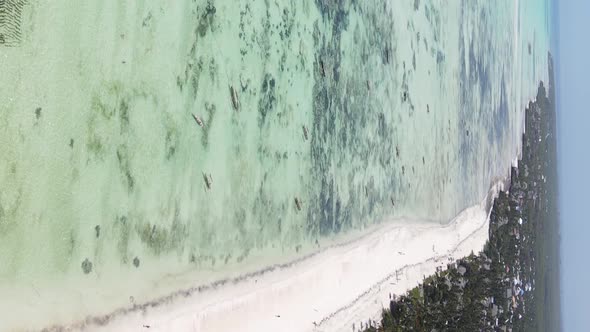 Vertical Video of Low Tide in the Ocean Near the Coast of Zanzibar Tanzania Aerial View