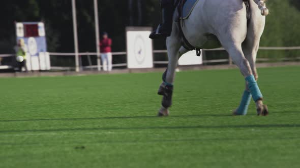 Polo Game Girl on Horseback in Slow Motion