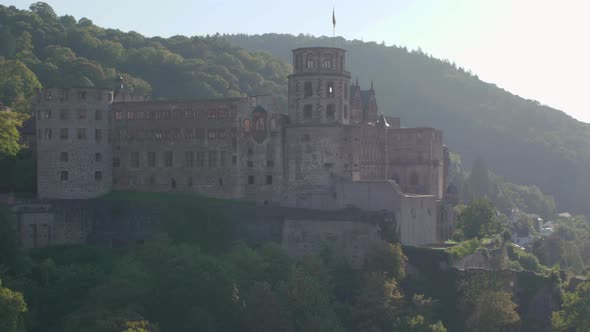 Heidelberg Castle nestled in Forest