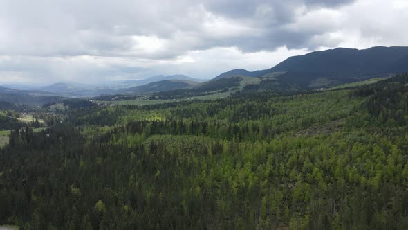 Ukraine, Carpathian Mountains: Beautiful Mountain Forest Landscape. Aerial